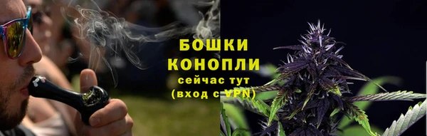 ГАЛЛЮЦИНОГЕННЫЕ ГРИБЫ Осташков
