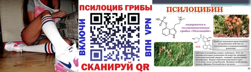omg tor  Сергач  Галлюциногенные грибы мицелий 